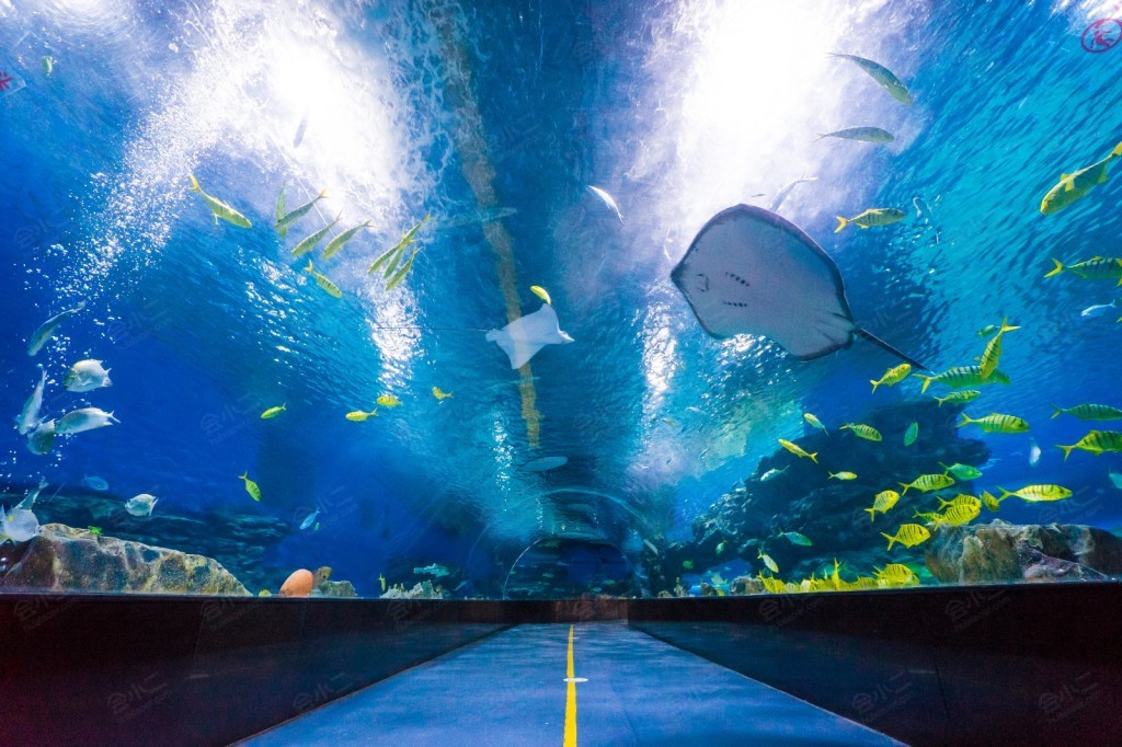 天津海昌极地海洋公园海底隧道详情