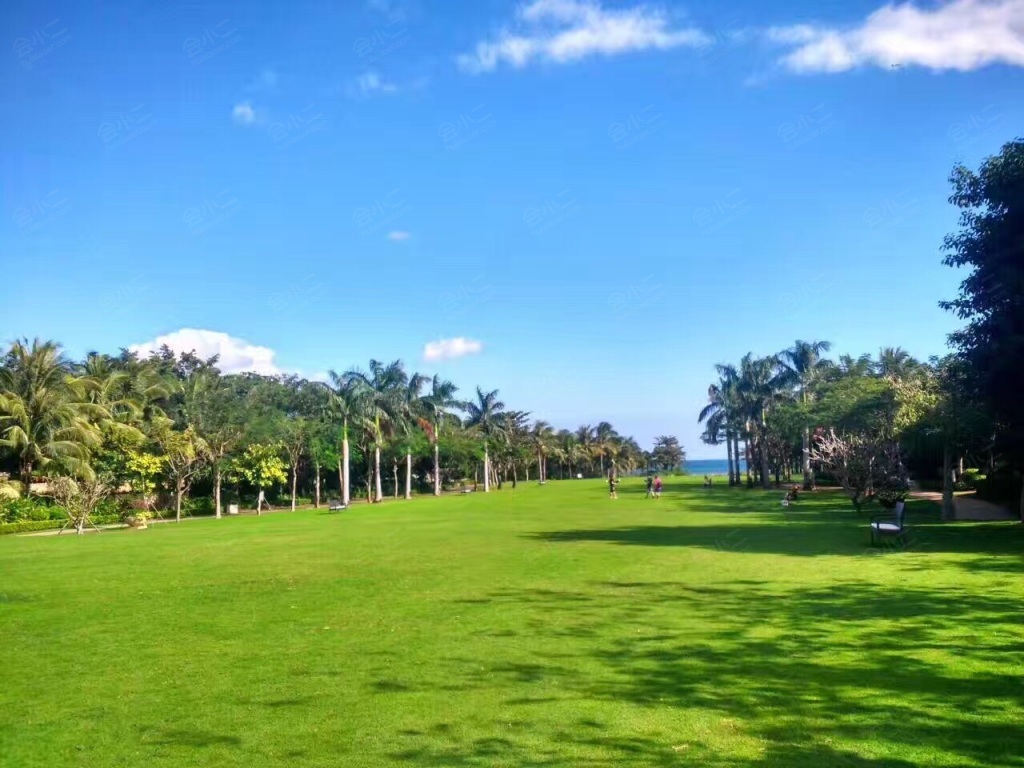 三亚海棠湾天房洲际度假酒店中央大草坪(户外)详情