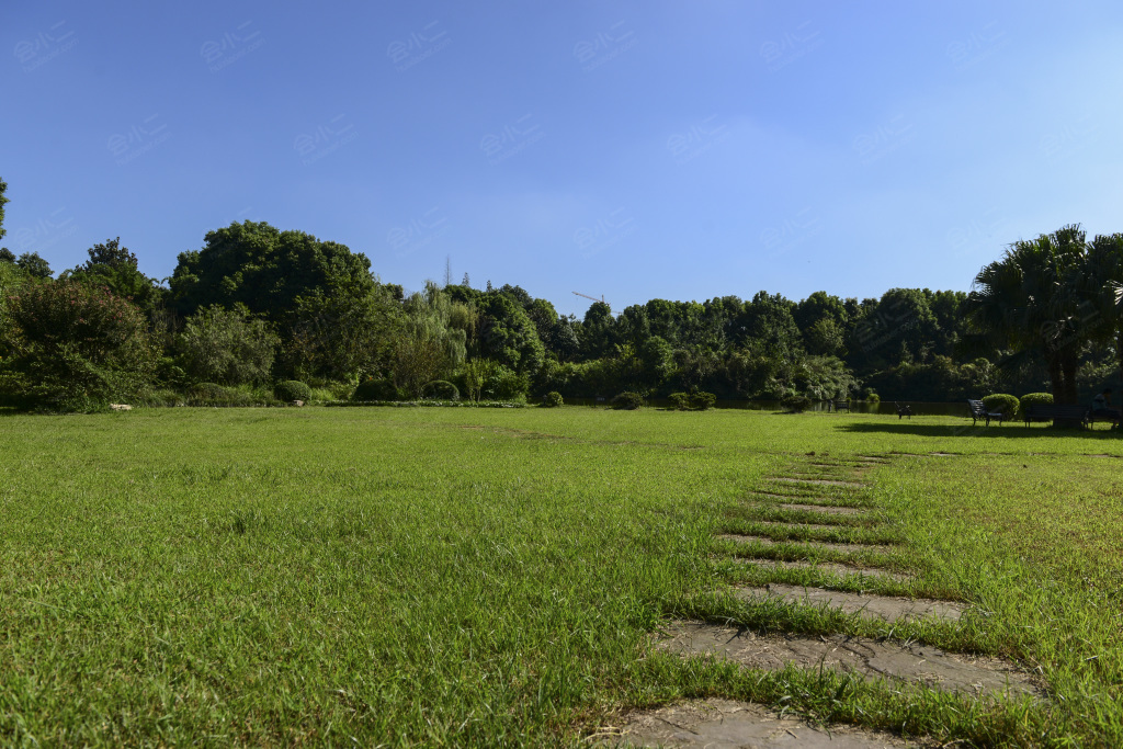 梦桐泉酒店户外草坪详情