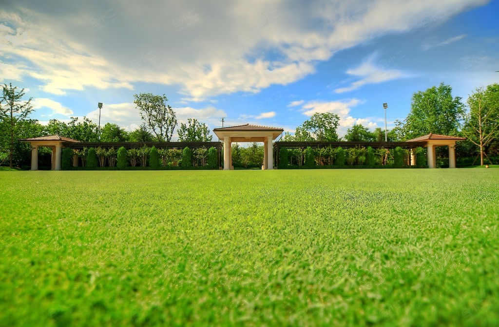 中隐酒店草坪详情