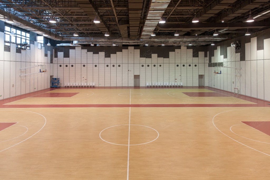 苏州体育中心篮球场图片