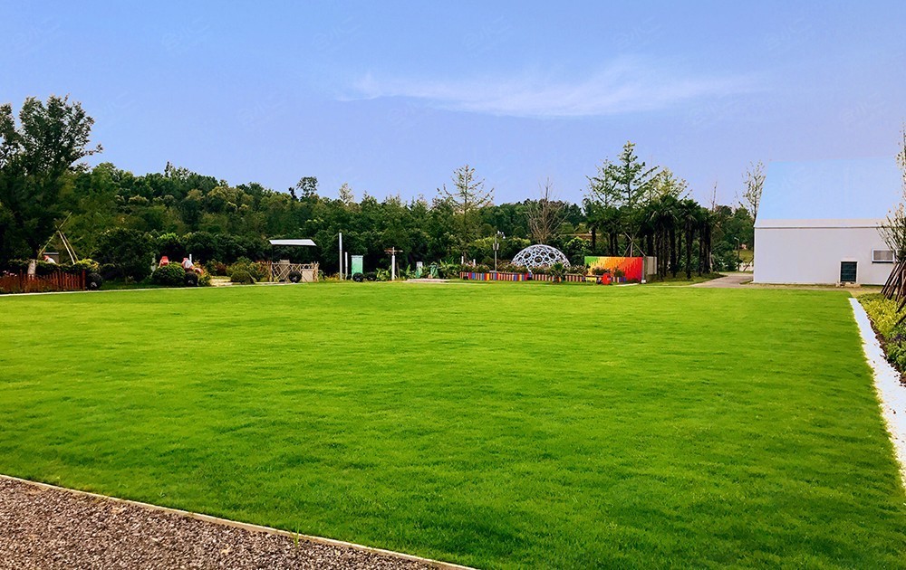 园博武汉庆典中心户外中央草坪详情